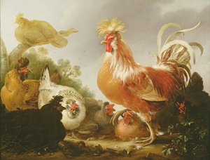 Hahn und Hennen in einer Landschaft, 1649