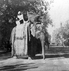 Ein Elefant vor dem Bahnhof in Delhi, Indien, 1900er Jahre von H. Hands and Son