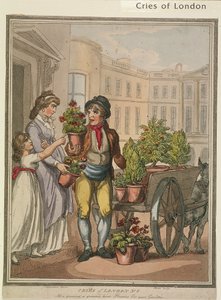 Alles wächst, wächst, hier sind Blumen für Ihre Gärten, Platte VI von Cries of London, 1799