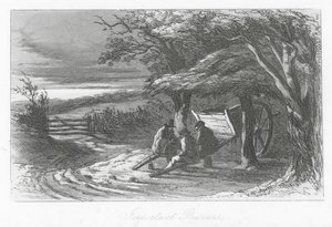 Straßen von London: Wichtige Geschäfte (Gravur) von Hablot Knight (1815 92) Browne