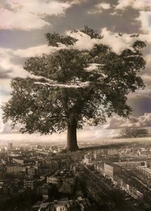 Der Baum in Islington