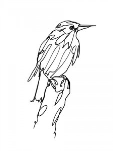 Abstrakter Vogel Linienkunst