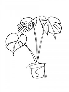 Monstera Linienkunst