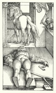 Der verhexte Bräutigam