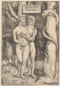 Adam und Eva, 1511 von Hans Baldung