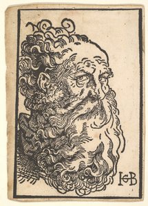 Kopf eines bärtigen Mannes, ca. 1518-19