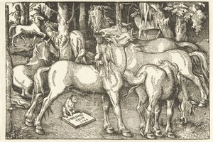 Gruppe von sieben Pferden und einem Affen von Hans Baldung Grien