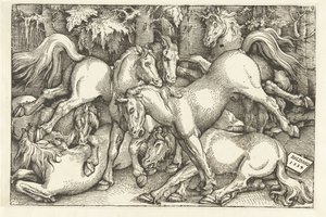 Gruppe von sieben kämpfenden Pferden