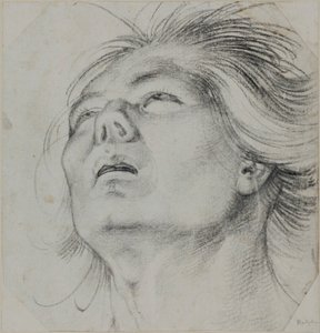  von Hans Baldung Grien