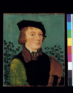 Porträt eines Mannes vor einer Rosenhecke von Hans Baldung Grien