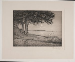 Vejle-Fjord