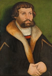 Porträt eines bärtigen Mannes von Hans Cranach