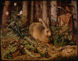 Ein Hase im Wald, ca. 1585