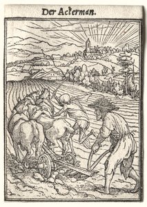 Totentanz: Der Pflüger