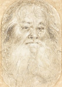 Studie eines bärtigen Mannes [verso] von Hans Holbein the Elder