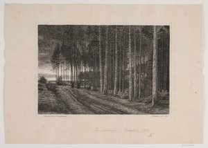 Regentag im Tannenwald von Hans Julius Fæster