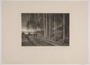 Regentag im Tannenwald von Hans Julius Fæster