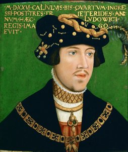 Porträt von Ludwig II., König von Ungarn (1506-1526)
