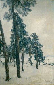 Aus dem Bogstadsee von Hans Olaf Heyerdahl