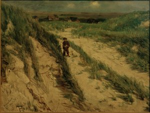 Düne, Tinnum auf Sylt
