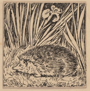 Zeichnung für die Fibel: Igel von Hans Thoma