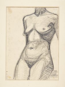 Torso eines weiblichen Modells
