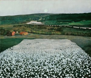 Blumenwiese im Norden