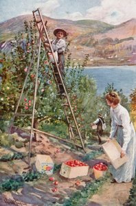 Eine Obstplantage in Nelson, British Columbia von Harold Copping