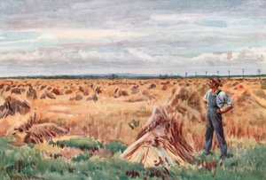 Entlang der Weizenfelder von Manitoba