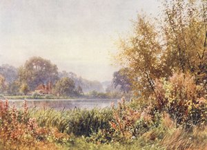 Herbstunkräuter, Chilworth