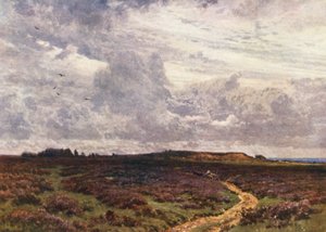 Der Sandweg, Milford Heath