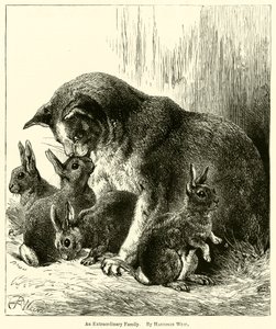 Eine außergewöhnliche Familie