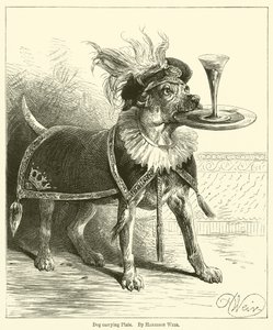 Hund trägt Teller