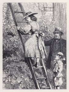 Harriet späht in das Nest der Rotkehlchen (Stich)