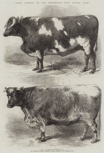 Preisgekrönte Tiere auf der Smithfield Club Viehschau von Harrison William Weir
