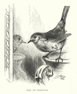 Robin und der Spiegel (Stich)
