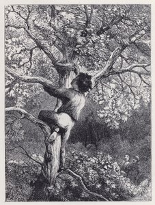 Das Nest der Hänflinge nehmen (Stich) von Harrison William Weir