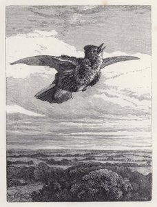 Das Lied der Feldlerche von Harrison William Weir