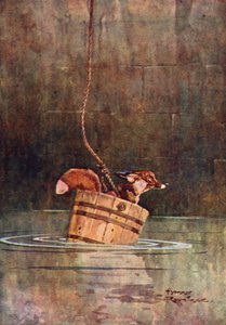 Der Wolf und der Fuchs von Harry Rountree