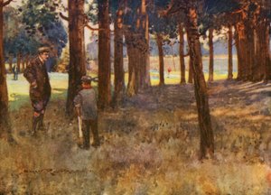 Golfplätze: Mildenhall, das Ergebnis eines schlechten Schlags am sechsten Loch
