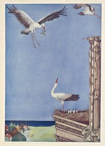 Die Störche