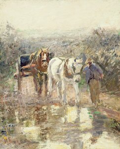 Pferde und Wagen
