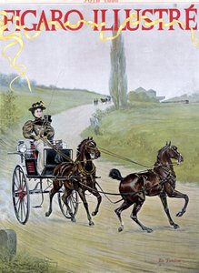 Frau fährt Kutsche