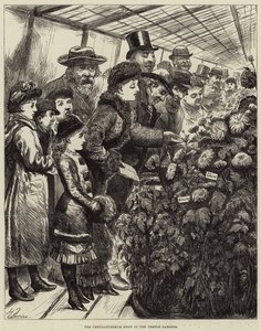 Die Chrysanthemen-Ausstellung in den Temple Gardens von Harry Furniss