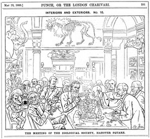 Das Treffen der Royal Zoological Society, Hanover Square, London, 1885 von Harry Furniss