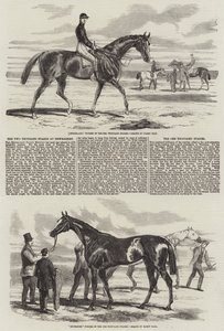Die Zweitausend-Stakes in Newmarket von Harry Hall