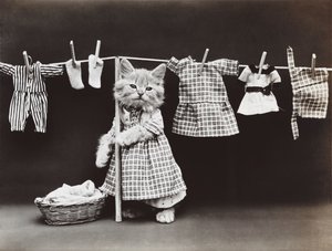 Kitties Serie: Wäsche trocknen, ca. 1914