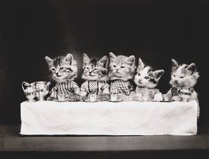 Kitties Serie: Das letzte Abendmahl, um 1914