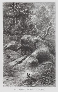Das Insekt: Der Wald von Fontainebleau von Hector Giacomelli