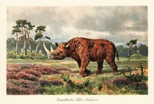 Ausgestorbener Wollnashorn in der Steppe